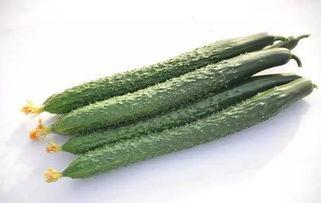 吃瓜视频直链  第3张